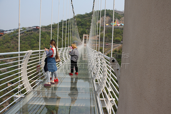 glass rope swing bridge